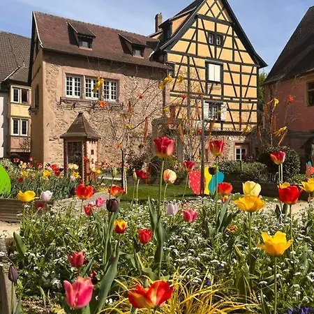 La Douce Escale Apartment